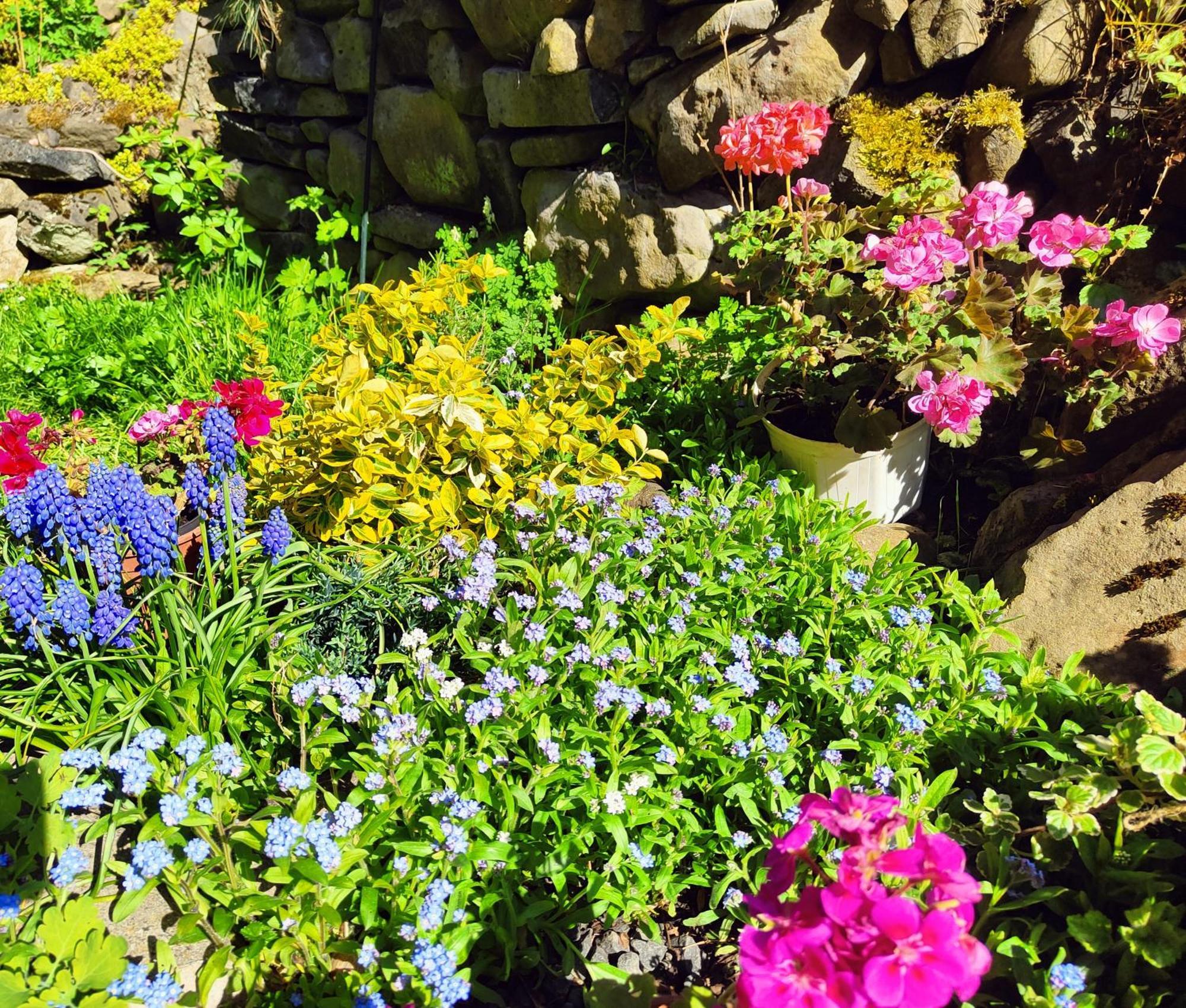 Bed And Breakfast Tvrz Velka Bukovina Экстерьер фото