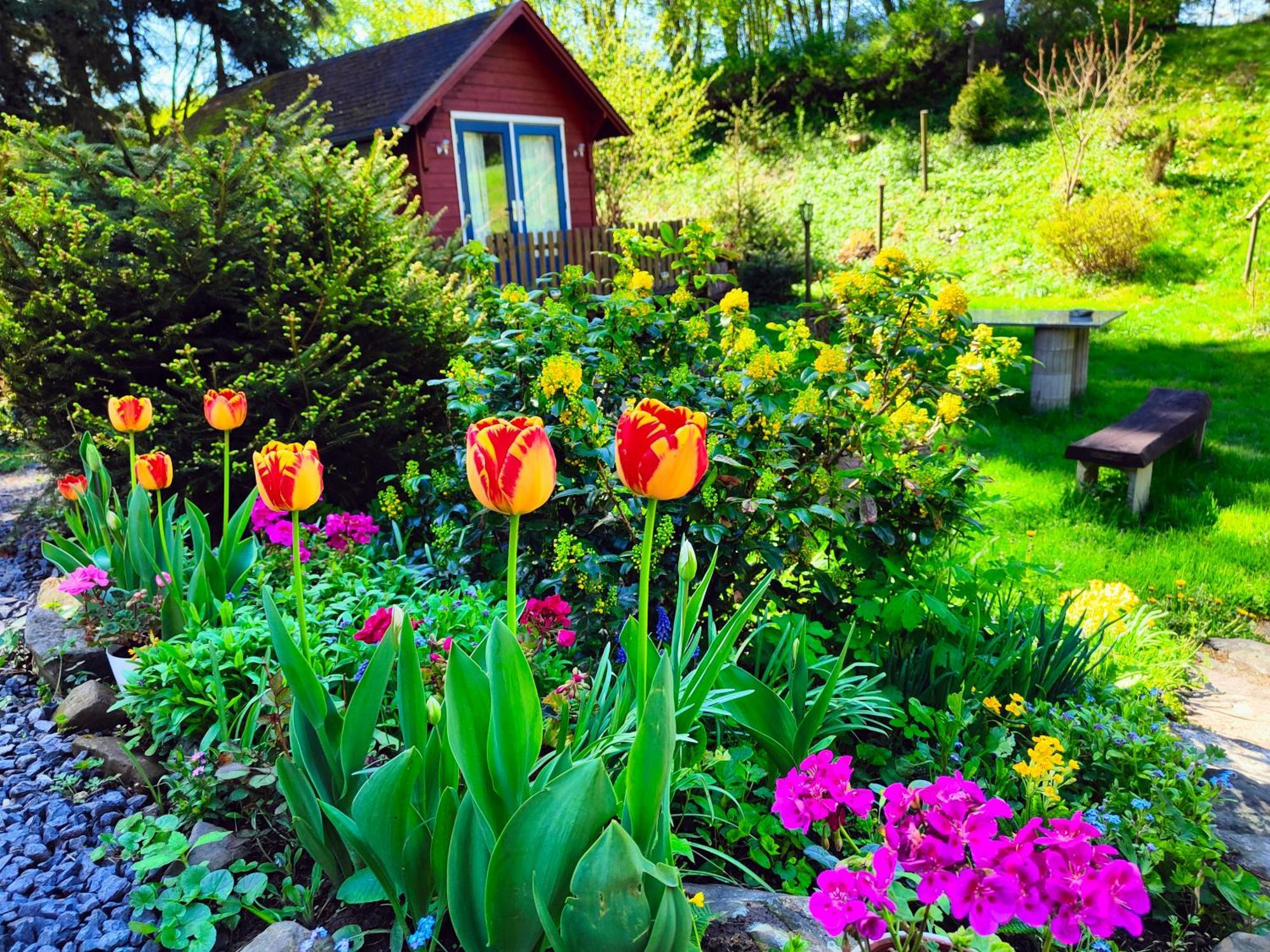 Bed And Breakfast Tvrz Velka Bukovina Экстерьер фото